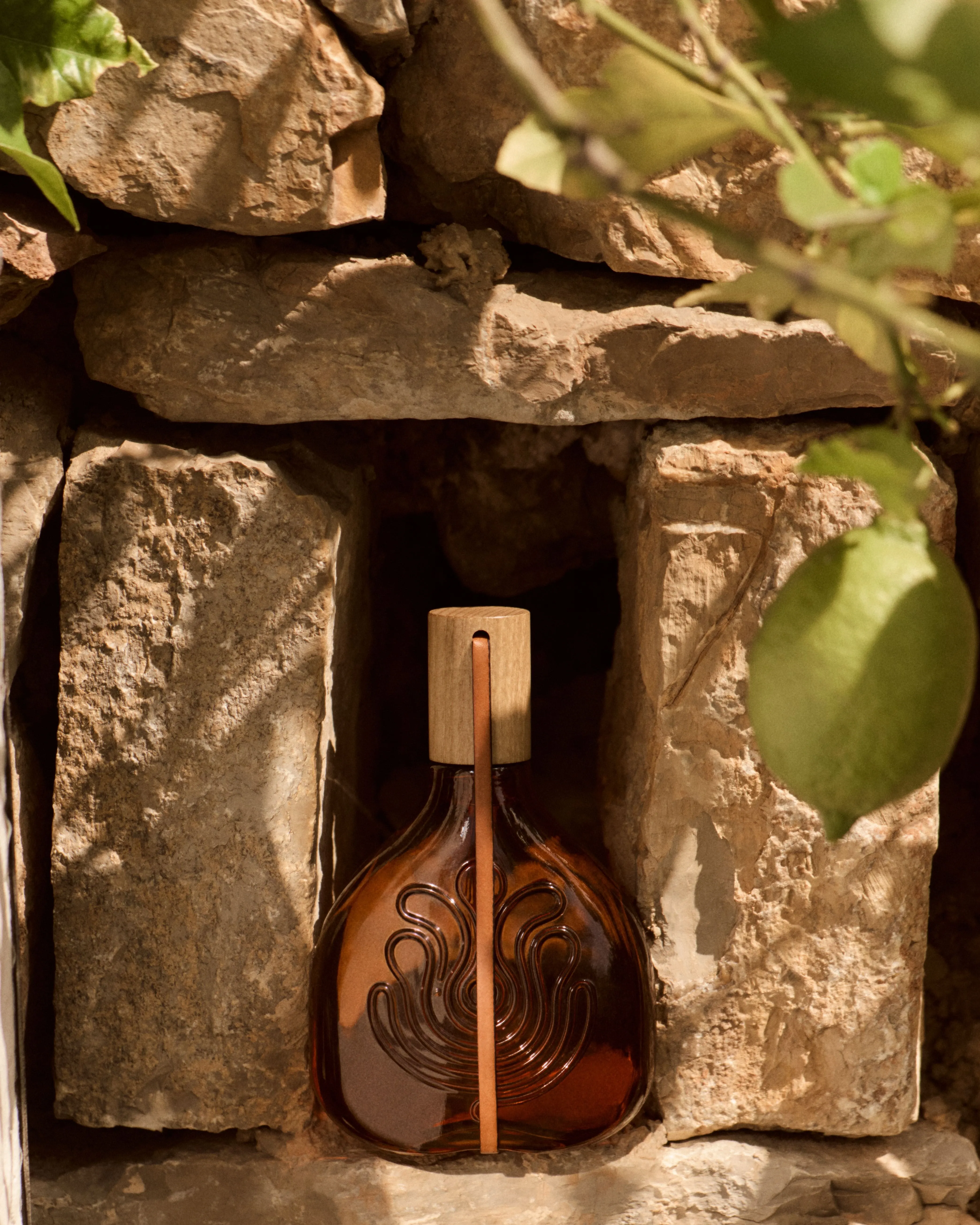 Canon-0052 (1) (1).webp