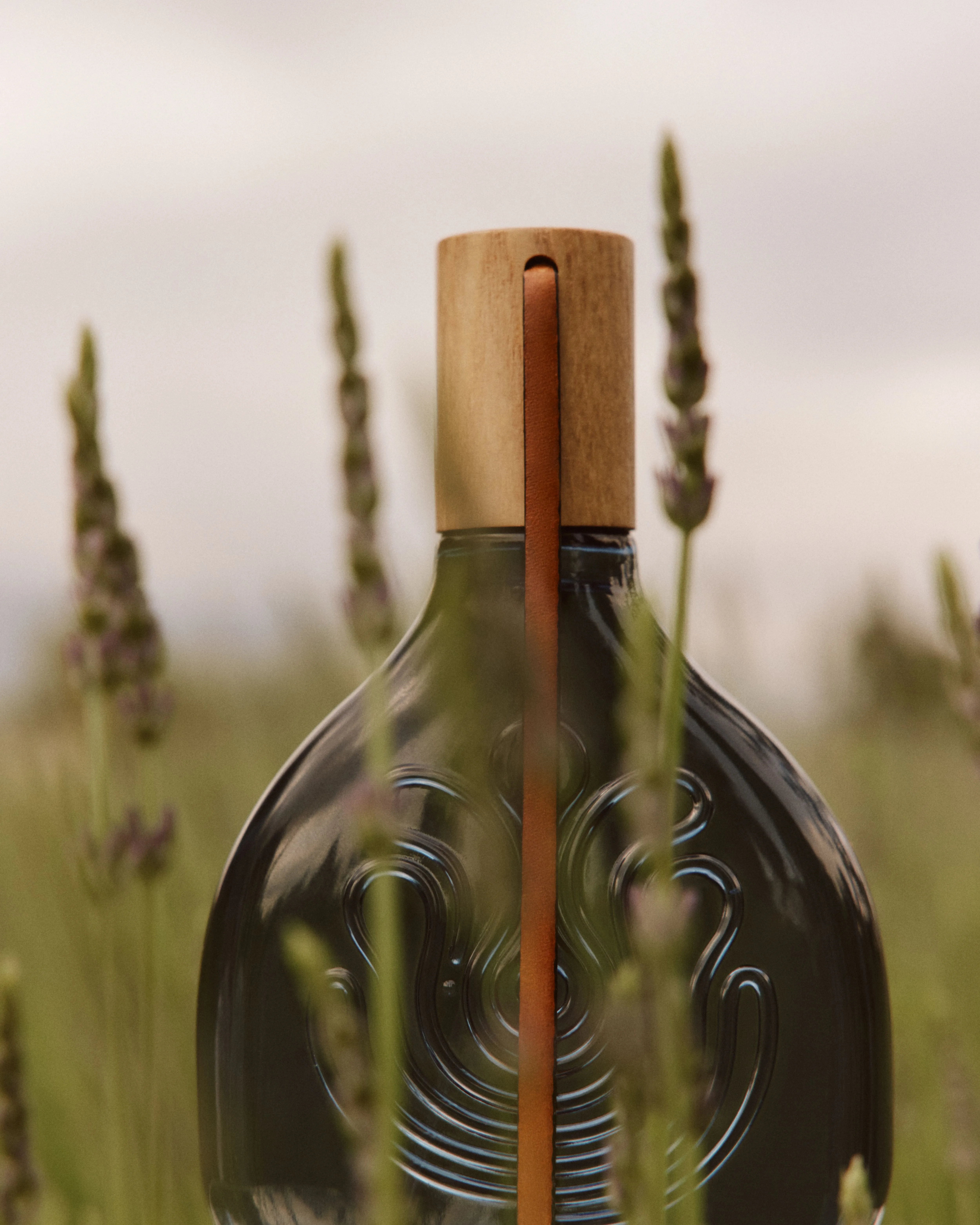 Picture_10_04_1681 (1).webp